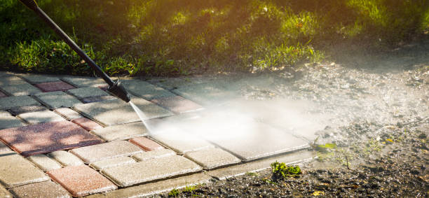 Animal Enclosure Cleaning in Houston, PA